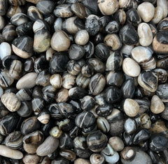 Black Striped Agate Pebbles