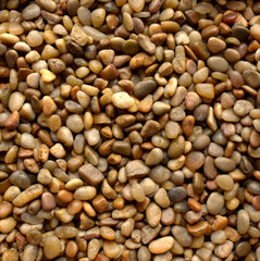 Yellow Polished Pebble ½-¾"