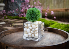White Striped Agate Pebbles