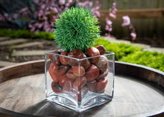 Red Jasper Agate Pebbles