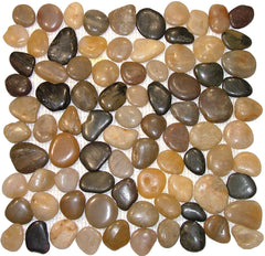 Polished Mixed Pebble Tile