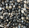 Image of Black Striped Agate Pebbles