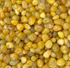 Image of Yellow Striped Agate Pebbles