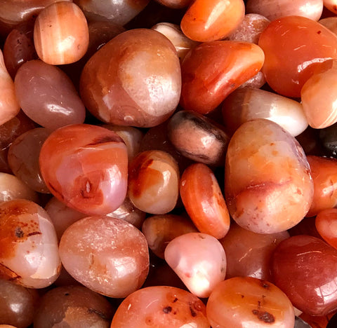 Carnelian Red Agate Pebbles