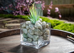 Green Aventurine Agate Pebbles