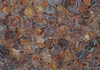 Image of Beach Glass - Brown