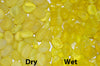 Image of Sea Glass Pebble Yellow